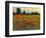 Red Field I-Tim O'toole-Framed Art Print