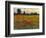 Red Field I-Tim O'toole-Framed Art Print