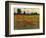 Red Field I-Tim O'toole-Framed Art Print