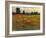 Red Field I-Tim O'toole-Framed Art Print