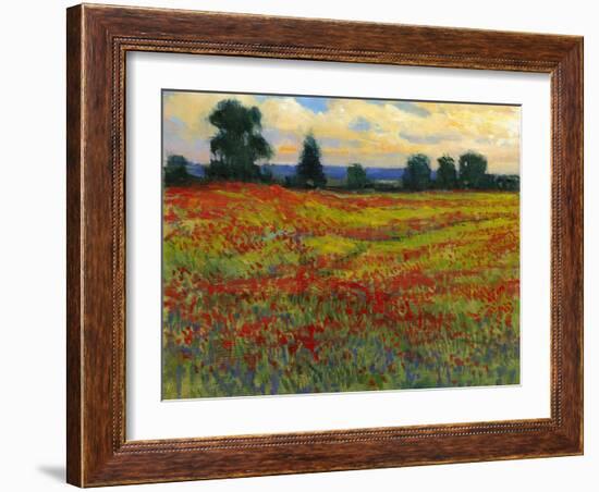 Red Field I-Tim O'toole-Framed Art Print