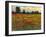 Red Field I-Tim O'toole-Framed Art Print