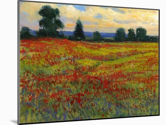 Red Field I-Tim O'toole-Mounted Art Print