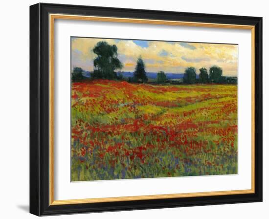 Red Field I-Tim O'toole-Framed Art Print