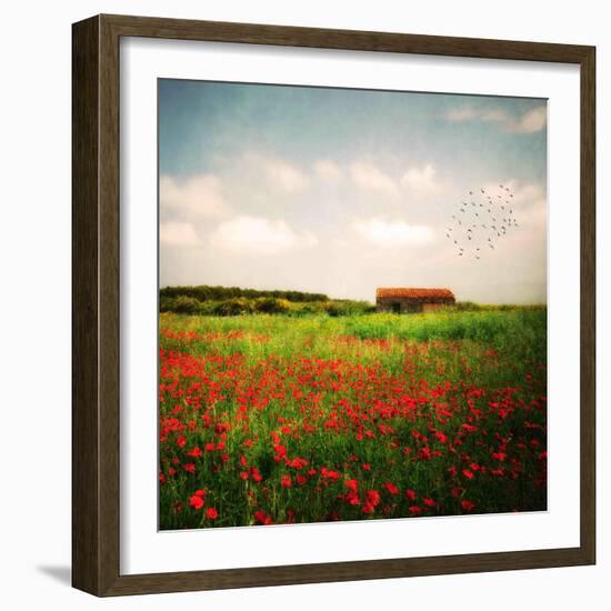 Red Field-Philippe Sainte-Laudy-Framed Photographic Print