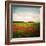 Red Field-Philippe Sainte-Laudy-Framed Photographic Print