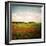 Red Field-Philippe Sainte-Laudy-Framed Photographic Print