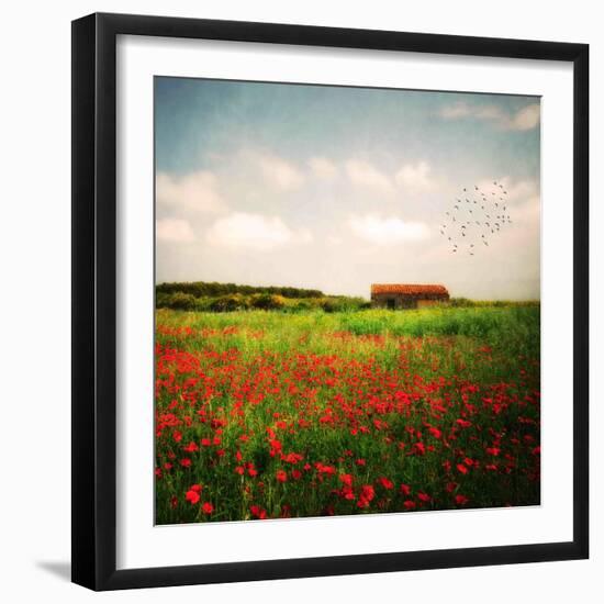 Red Field-Philippe Sainte-Laudy-Framed Photographic Print