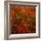 Red Field-Marco Carmassi-Framed Photographic Print