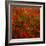 Red Field-Marco Carmassi-Framed Photographic Print