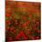 Red Field-Marco Carmassi-Mounted Photographic Print