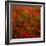 Red Field-Marco Carmassi-Framed Photographic Print