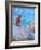 Red Fisherman  2019  (oil on board)-Colin Bootman-Framed Giclee Print