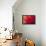 Red Flame-Dana Styber-Framed Premier Image Canvas displayed on a wall