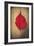 Red Flame-Philippe Sainte-Laudy-Framed Giclee Print