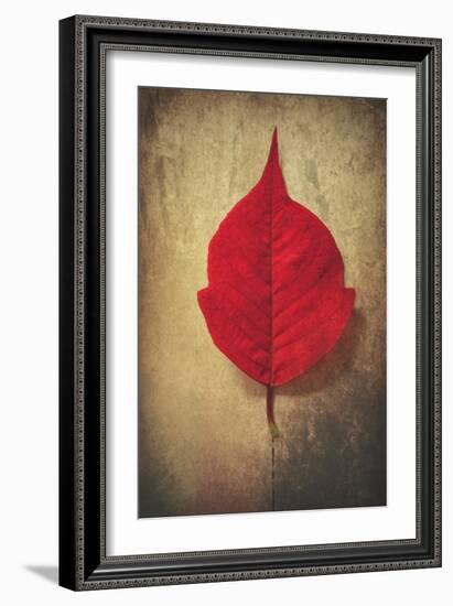 Red Flame-Philippe Sainte-Laudy-Framed Giclee Print