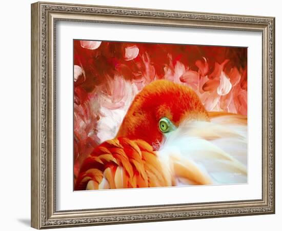 Red Flamigo-Ata Alishahi-Framed Giclee Print