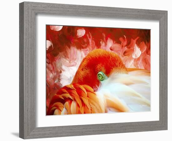 Red Flamigo-Ata Alishahi-Framed Giclee Print