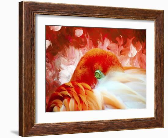 Red Flamigo-Ata Alishahi-Framed Giclee Print