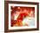 Red Flamigo-Ata Alishahi-Framed Giclee Print