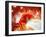 Red Flamigo-Ata Alishahi-Framed Giclee Print