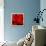 Red Flower on Black 03-Tom Quartermaine-Framed Premier Image Canvas displayed on a wall