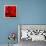 Red Flower on Black 03-Tom Quartermaine-Framed Premier Image Canvas displayed on a wall