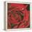 Red Flower-Scott Westmoreland-Framed Stretched Canvas