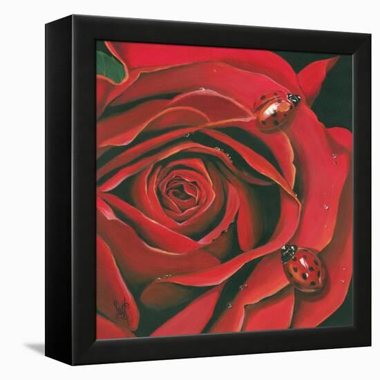 Red Flower-Scott Westmoreland-Framed Stretched Canvas