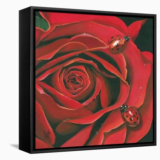 Red Flower-Scott Westmoreland-Framed Stretched Canvas