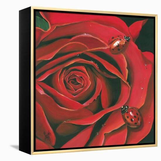 Red Flower-Scott Westmoreland-Framed Stretched Canvas