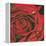 Red Flower-Scott Westmoreland-Framed Stretched Canvas