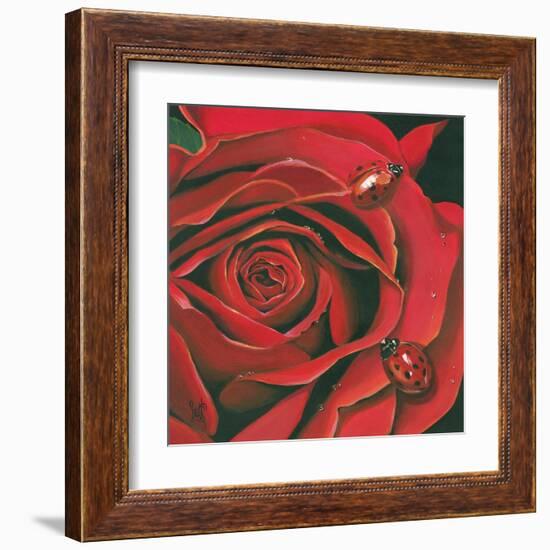 Red Flower-Scott Westmoreland-Framed Art Print