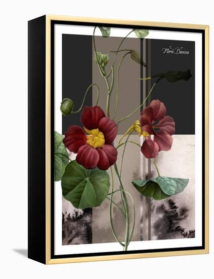 Red Flower-Flora Danica-Framed Stretched Canvas