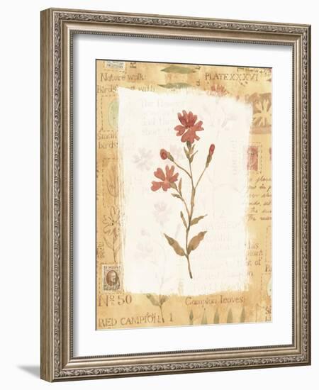 Red Flower-Hope Street Designs-Framed Giclee Print