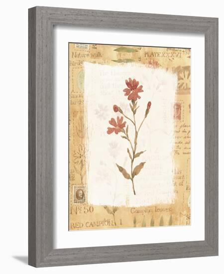 Red Flower-Hope Street Designs-Framed Giclee Print