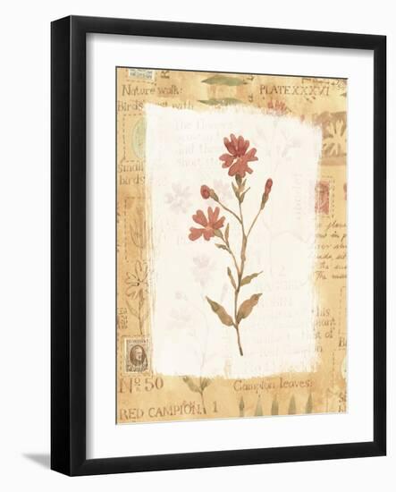 Red Flower-Hope Street Designs-Framed Giclee Print