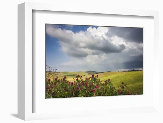 Red flowers and rainbow frame the green hills and farmland of Crete Senesi (Senese Clays), Province-Roberto Moiola-Framed Photographic Print