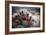 Red Flowers Bloom From A Cactus On The Desert Floor - Joshua Tree National Park-Dan Holz-Framed Photographic Print