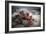 Red Flowers Bloom From A Cactus On The Desert Floor - Joshua Tree National Park-Dan Holz-Framed Photographic Print