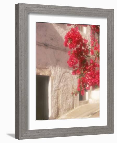 Red Flowers & Building, Epirus, Greece-Walter Bibikow-Framed Photographic Print
