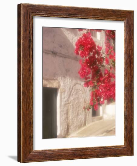 Red Flowers & Building, Epirus, Greece-Walter Bibikow-Framed Photographic Print