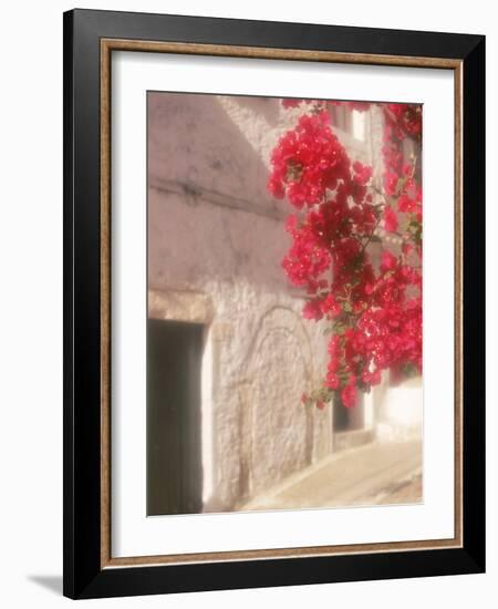 Red Flowers & Building, Epirus, Greece-Walter Bibikow-Framed Photographic Print