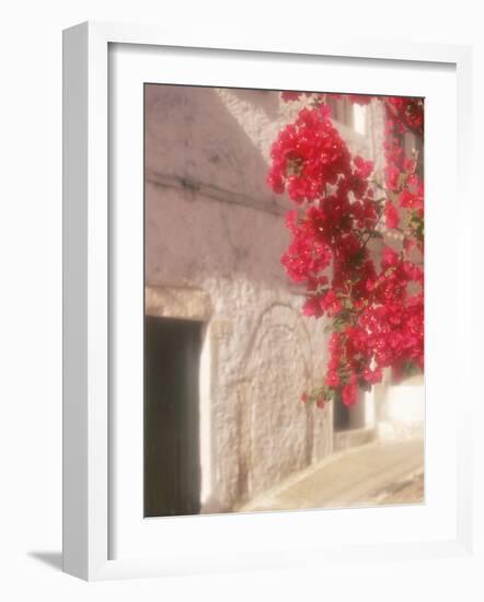 Red Flowers & Building, Epirus, Greece-Walter Bibikow-Framed Photographic Print