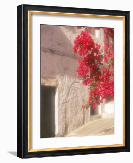 Red Flowers & Building, Epirus, Greece-Walter Bibikow-Framed Photographic Print