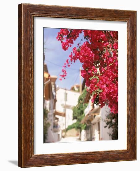 Red Flowers, Epirus, Greece-Walter Bibikow-Framed Photographic Print