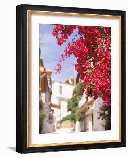 Red Flowers, Epirus, Greece-Walter Bibikow-Framed Photographic Print