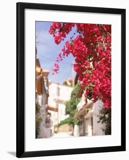 Red Flowers, Epirus, Greece-Walter Bibikow-Framed Photographic Print