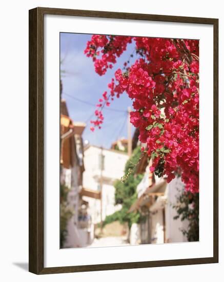 Red Flowers, Epirus, Greece-Walter Bibikow-Framed Photographic Print