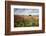 Red flowers frame the gentle green hills of Val d'Orcia, UNESCO World Heritage Site, Province of Si-Roberto Moiola-Framed Photographic Print